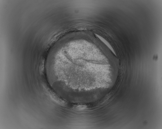 X0000112770554200909171315