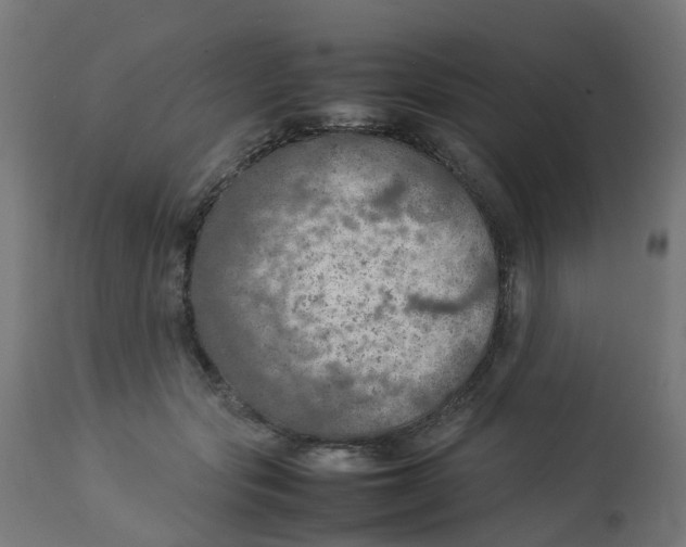 X0000112770557200909171316