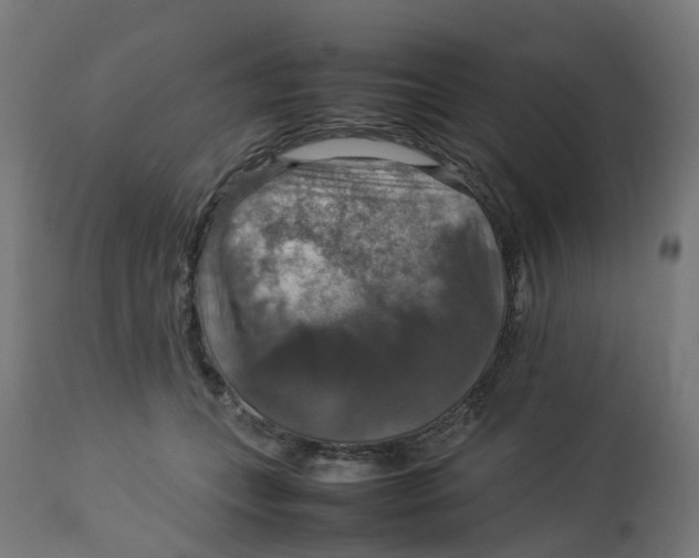 X0000112770559200909171316