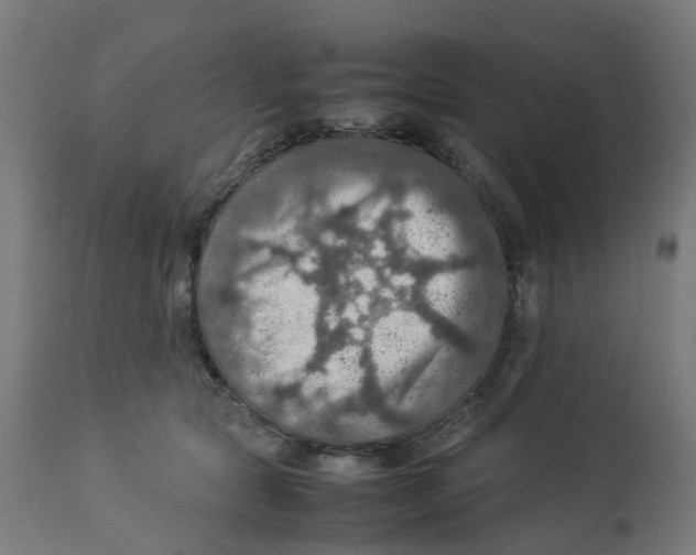 X0000112770561200909171316