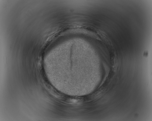 X0000112770563200909171316