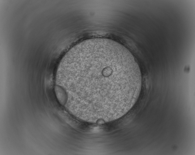 X0000112770564200909171316