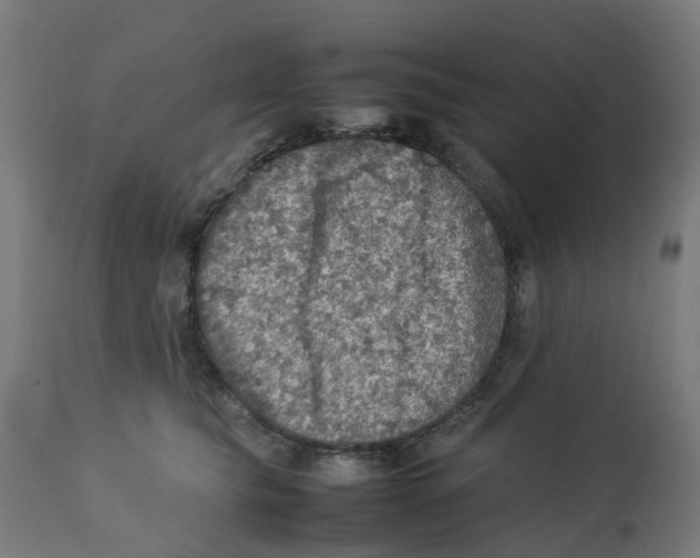 X0000112770565200909171316