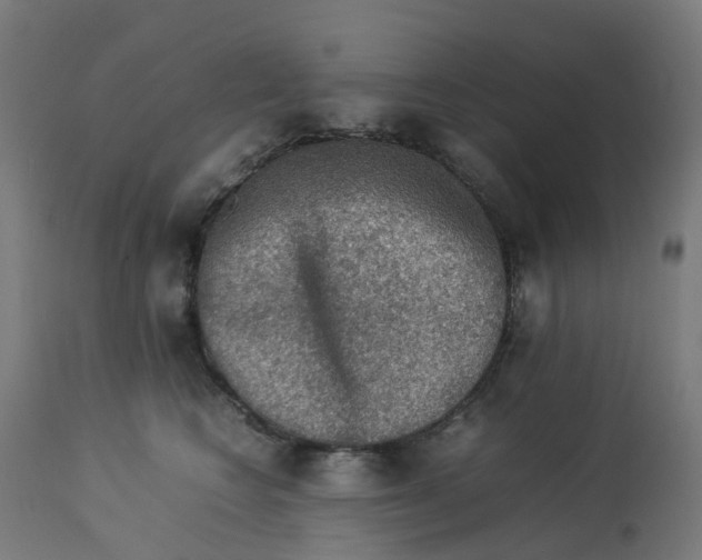 X0000112770566200909171316