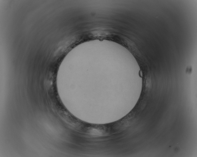 X0000112770567200909171316