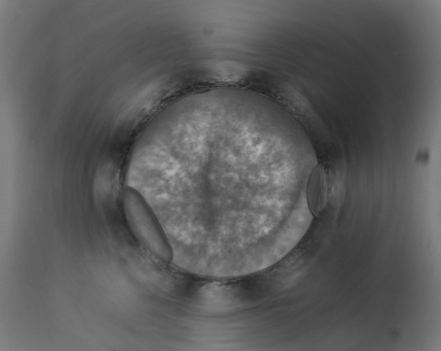 X0000112770568200909171316