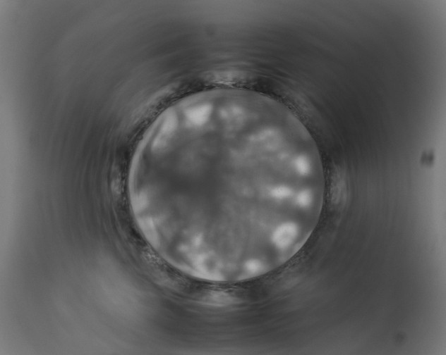 X0000112770569200909171316