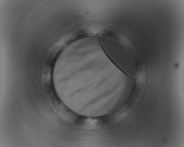 X0000112770570200909171316