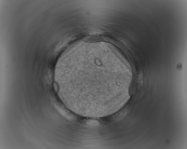 X0000112770572200909171316