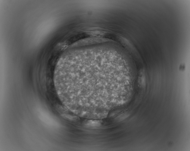 X0000112770573200909171316