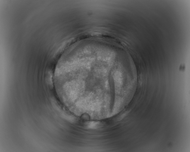 X0000112770575200909171316