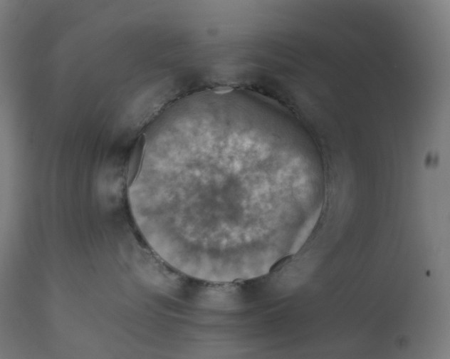 X0000112770576200909171316