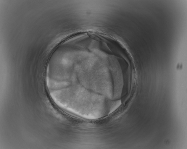 X0000112770577200909171315