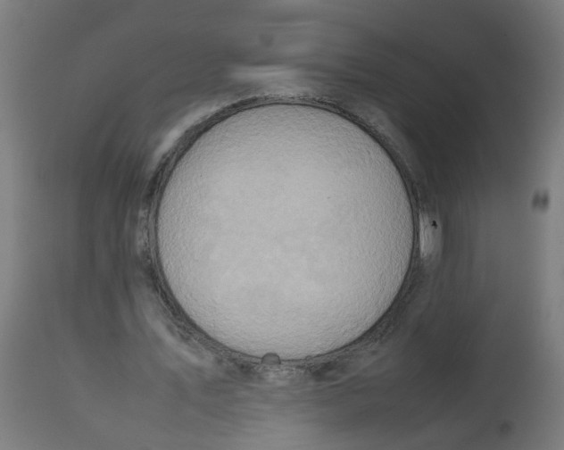 X0000112770579200909171315