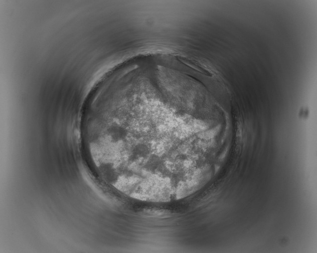 X0000112770582200909171315