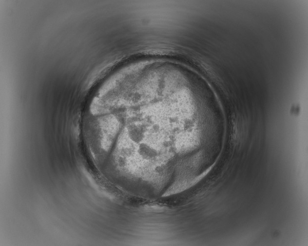 X0000112770586200909171315