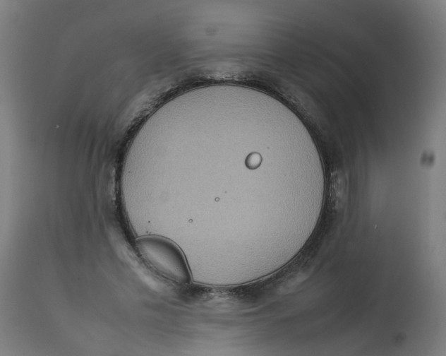 X0000112770589200909171315