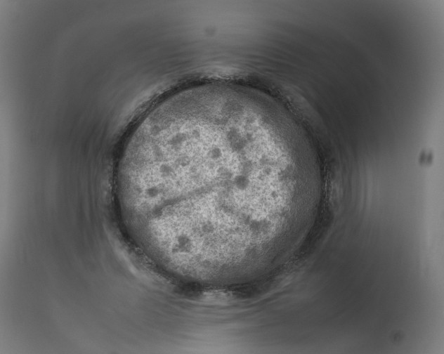 X0000112770591200909171315