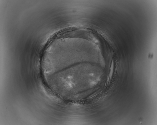 X0000112770592200909171315