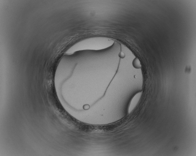 X0000112770593200909171315