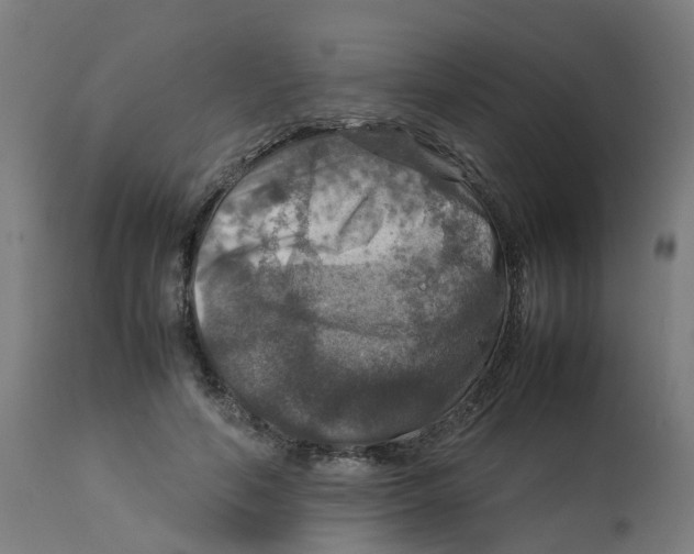 X0000112770594200909171315