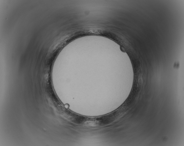 X0000112770595200909171315