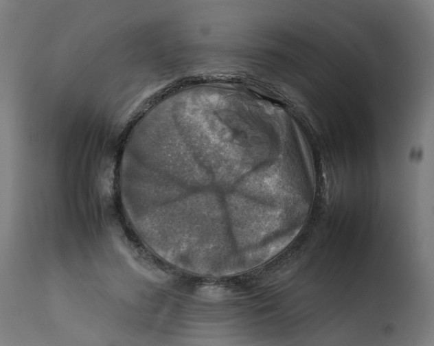 X0000112770596200909171315