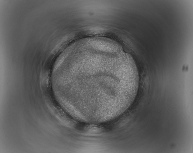 X0000112770597200909171315