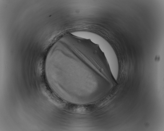 X0000112770600200909171315