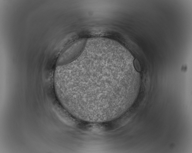 X0000112770601200909171315