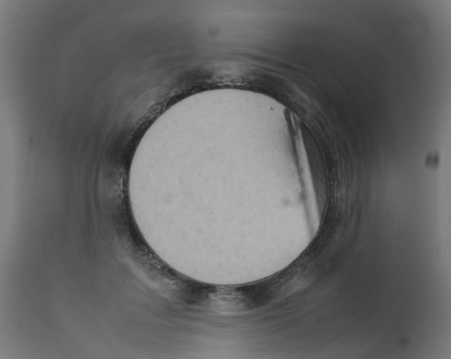 X0000112770603200909171315