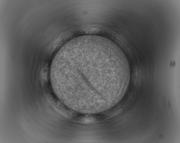 X0000112770604200909171315