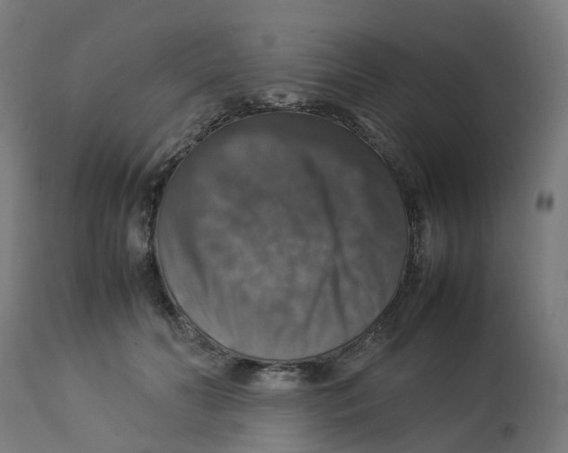 X0000112770606200909171315