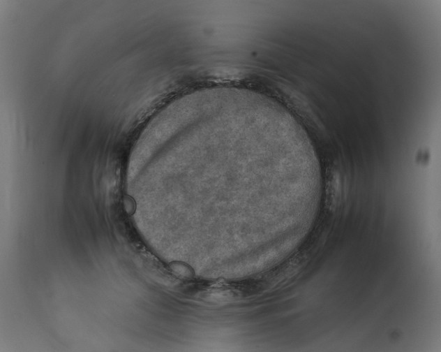 X0000112770608200909171315