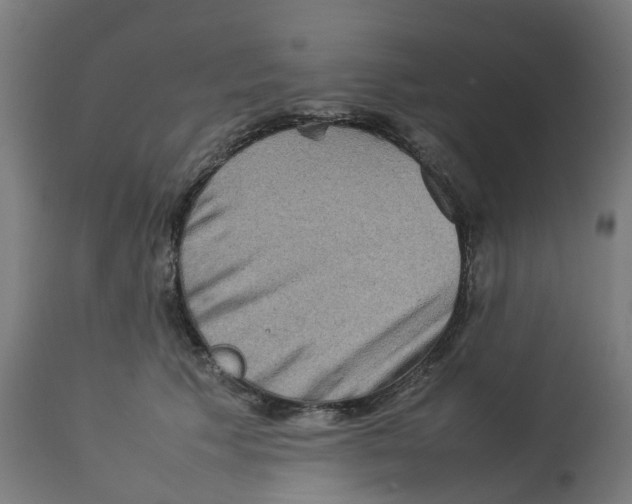 X0000112770609200909171315