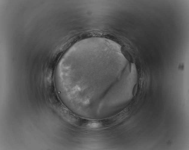 X0000112770610200909171315