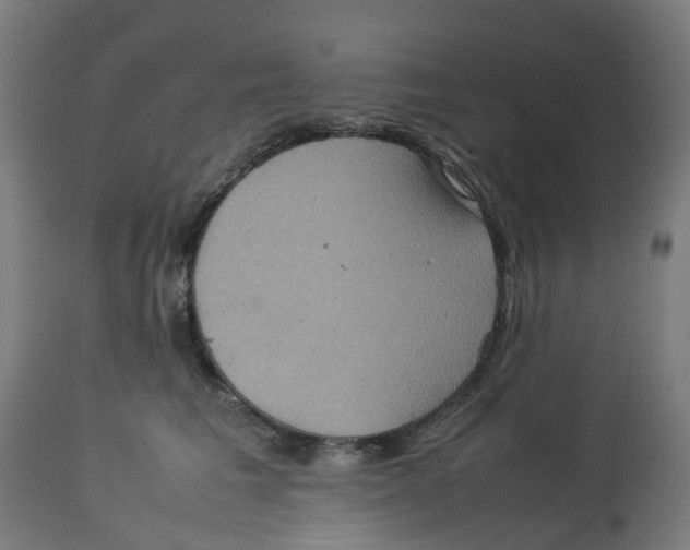 X0000112770613200909171314