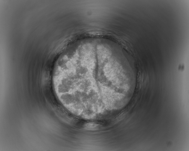 X0000112770614200909171314