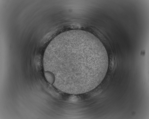 X0000112770616200909171314