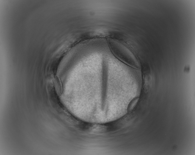 X0000112770617200909171314