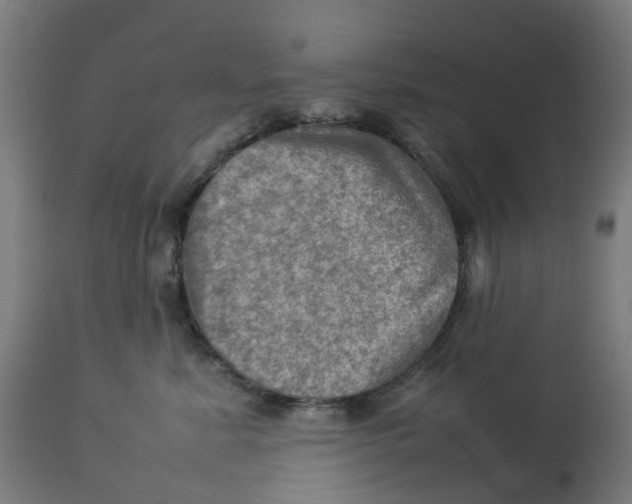 X0000112770619200909171314