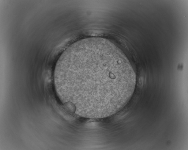 X0000112770620200909171314