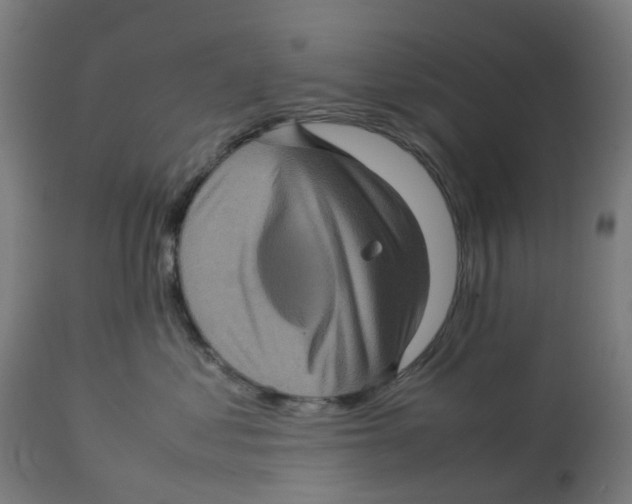 X0000112770621200909171314