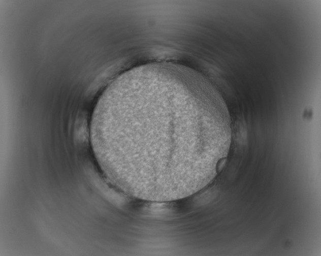 X0000112770622200909171314