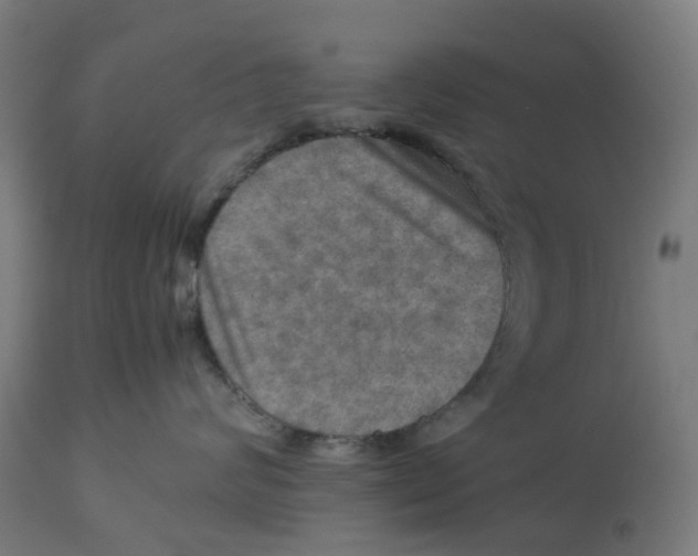 X0000112770624200909171314