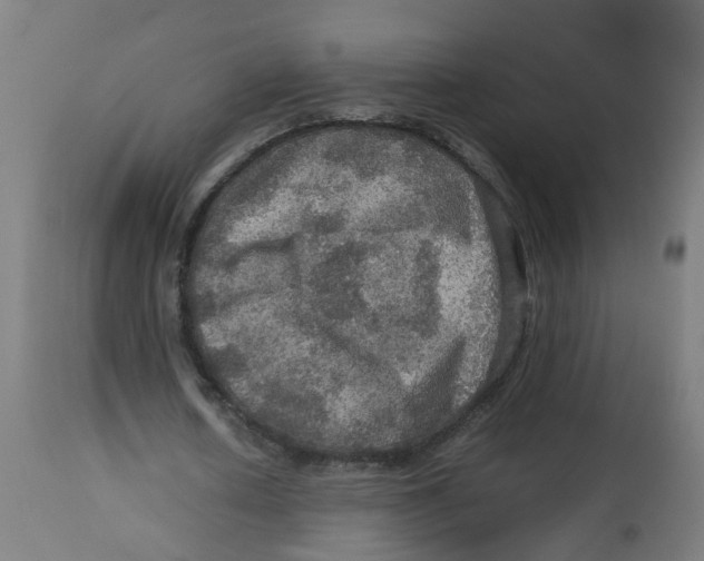 X0000112770626200909171314