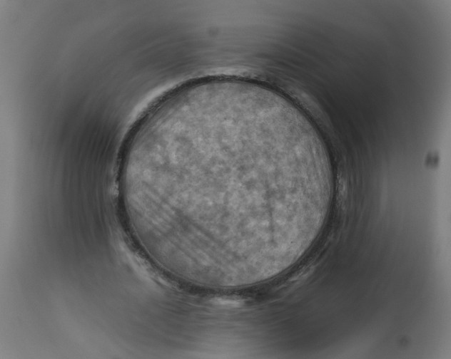 X0000112770628200909171314