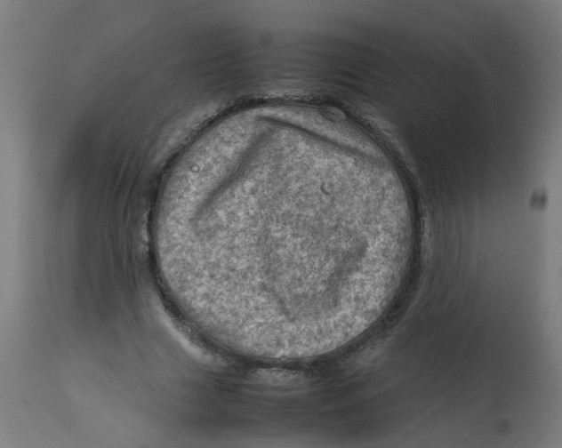 X0000112770633200909171314