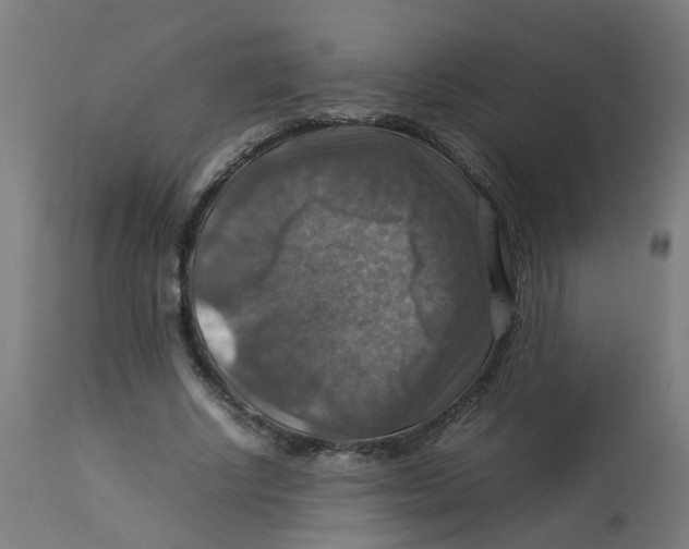 X0000112770634200909171314