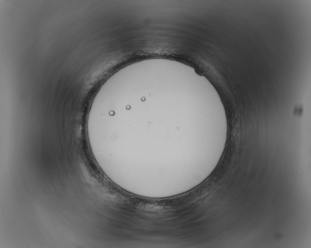 X0000112770635200909171314